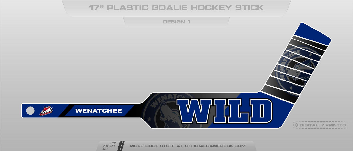 Goalie Stick