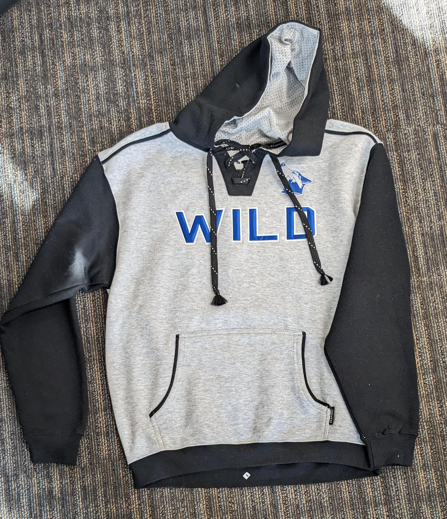 CI Hockey Hoodie