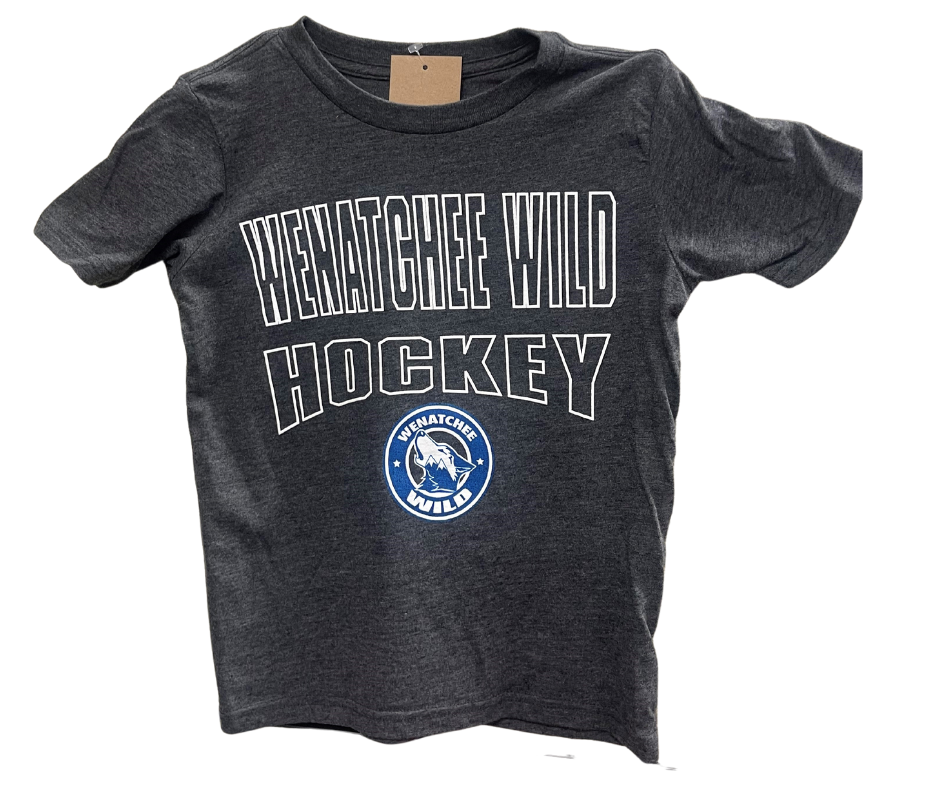 Youth Triblend Blue 84 - Dark Heather